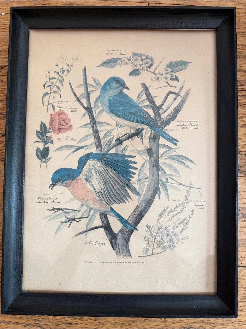Arthur Singer Number 2 of a Series of Paintings by Arthur Singer (Bluebirds)